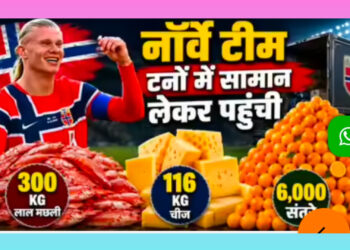 6000 संतरे, 300 किलो लाल मछली, फीफा विश्व कप के लिए खास इंतजाम के साथ पहुंची है नॉर्वे की टीम